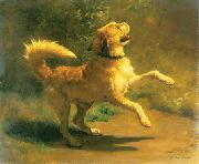 Rudolf Koller Springender Hund Sweden oil painting artist